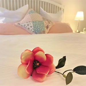 Magnolia Apartmán